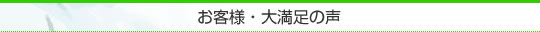 ���q�l�E�喞���̐�